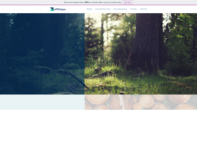 aprotype.lt snapshot