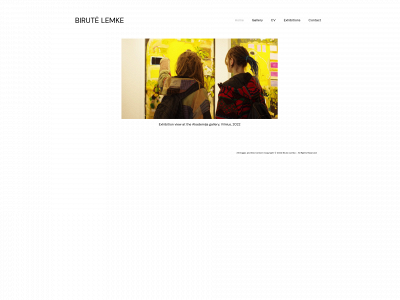 birutelemke.com snapshot