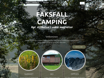 faksfall.no snapshot