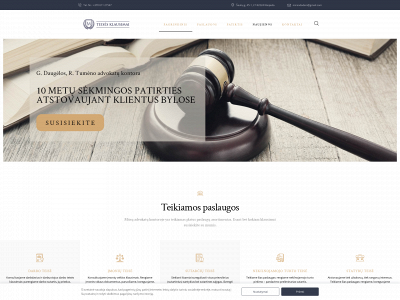 teisesklausimai.lt snapshot