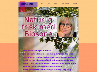 biosone.no snapshot