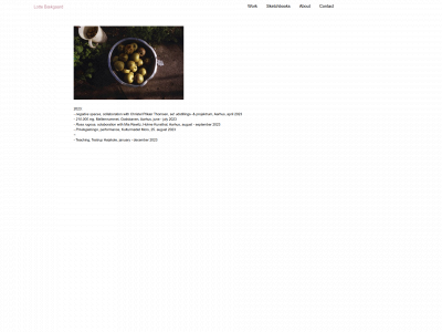 lottebaekgaard.com snapshot