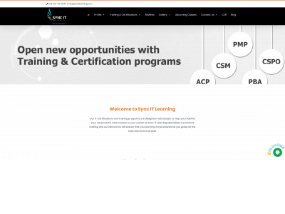 syncitlearning.com snapshot