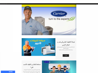 carrier-egypt.weebly.com snapshot