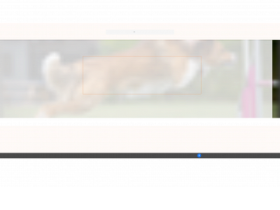 agilitycampus.nl snapshot