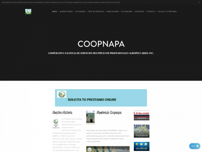 coopnapa.com.do snapshot
