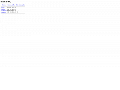 strongarmfleetwash.com snapshot