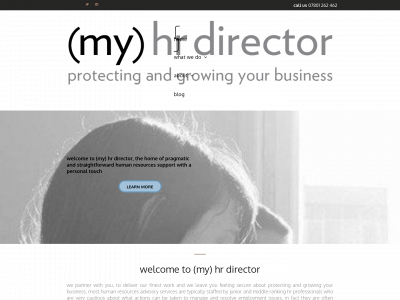 my-hrdirector.co.uk snapshot