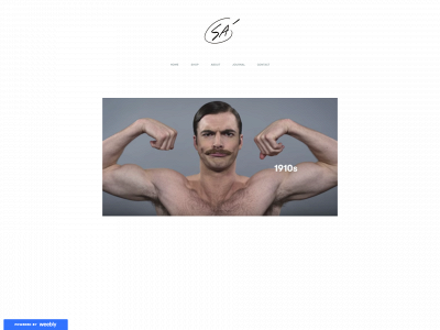 saartdesign.weebly.com snapshot