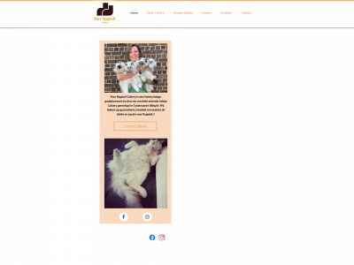 pureragdolls.com snapshot