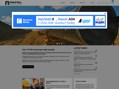 akfel.com snapshot