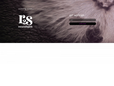 return2spirit.com snapshot