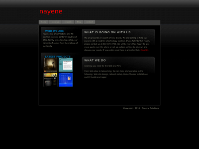 nayene.com snapshot