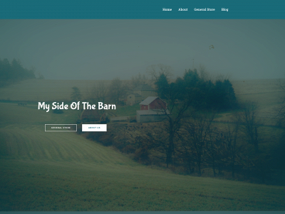 mysideofthebarn.com snapshot