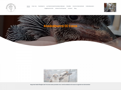 kookaburradicasa.nl snapshot