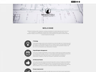 wolfepoint.com snapshot