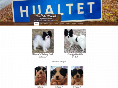 hualtets.se snapshot