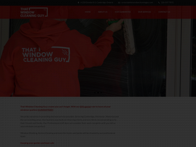 thatwindowcleaningguy.com snapshot