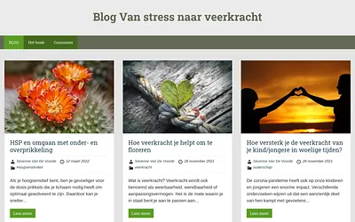 blogvanstressnaarveerkracht.be snapshot