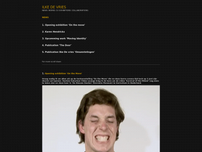 ilkedevries.com snapshot