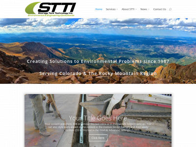 stticonsulting.com snapshot