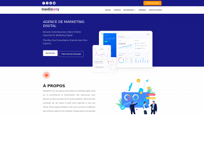 mediayoy.com snapshot