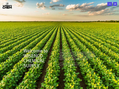 www.wisencojanitorialchemsupply.com snapshot