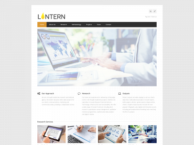 lanterninsights.com snapshot