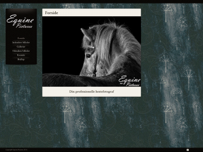 equine.pictures snapshot