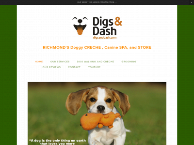 digsanddash.com snapshot