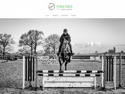 finches.be snapshot