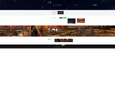 gamingorigins.net snapshot