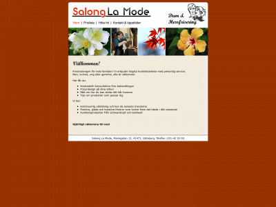 salonglamode.se snapshot