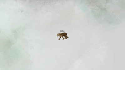elreyjaguar.org snapshot