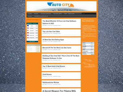 autocity.lt snapshot