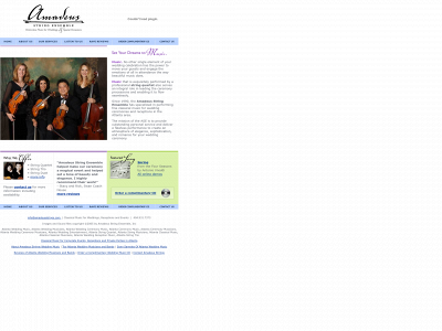 amadeusstrings.com snapshot