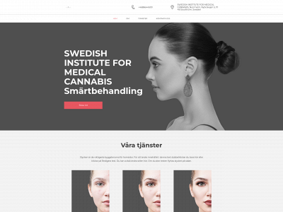 sweimc.org snapshot