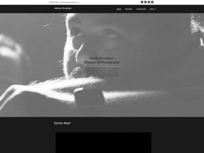 adrianpircalabu.com snapshot