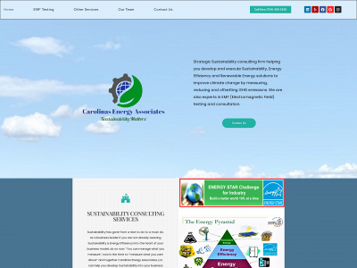www.carolinasenergy.com snapshot