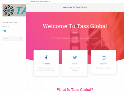 tassglobal.com snapshot