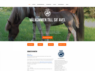 sifavel.se snapshot