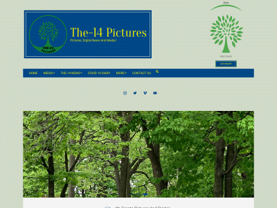 the-14.com snapshot