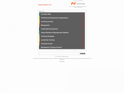 skillsetsitagent.com snapshot