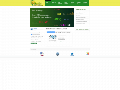 telecomsmile.com snapshot