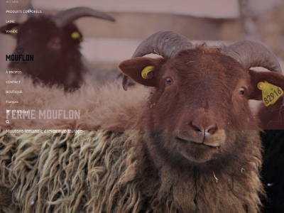 fermemouflon.com snapshot