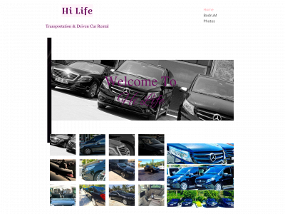 hilifevip.com snapshot
