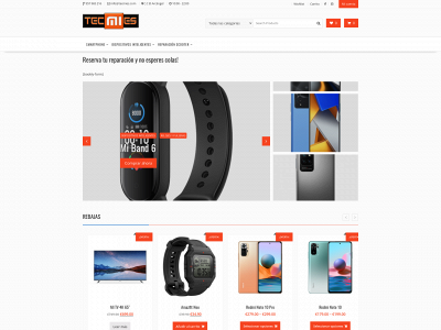 tecmies.com snapshot