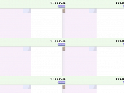 tpenb.nl snapshot