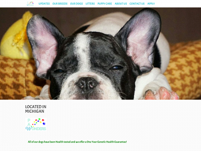 pawwonders.com snapshot