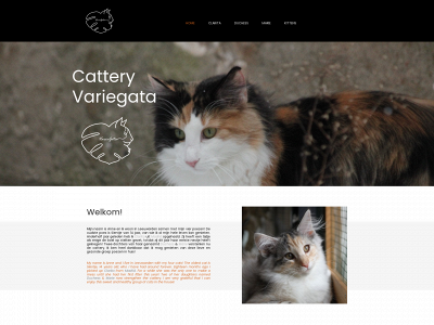 catteryvariegata.nl snapshot